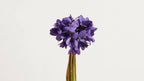 Bouquet de fleurs de violette violettes, tiges en bouquet