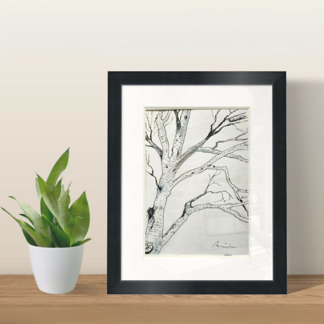 Dessin original de bouleau encadré, branches en encre noire sur papier clair