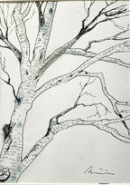 Dessin original de bouleau, branches et écorce en encre noire sur papier clair
