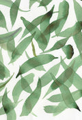 Aquarelle de feuillage vert en gros plan, feuilles au lavis sur fond clair.