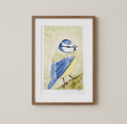 Aquarelle oiseaux