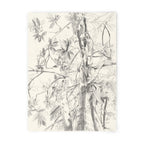 Tirage d'art numéroté et signé, illustration botanique à l'encre noire sur fond clair.