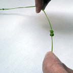 Collier vert à cordon fin, rosette violette et nœud décoratif tenus en main