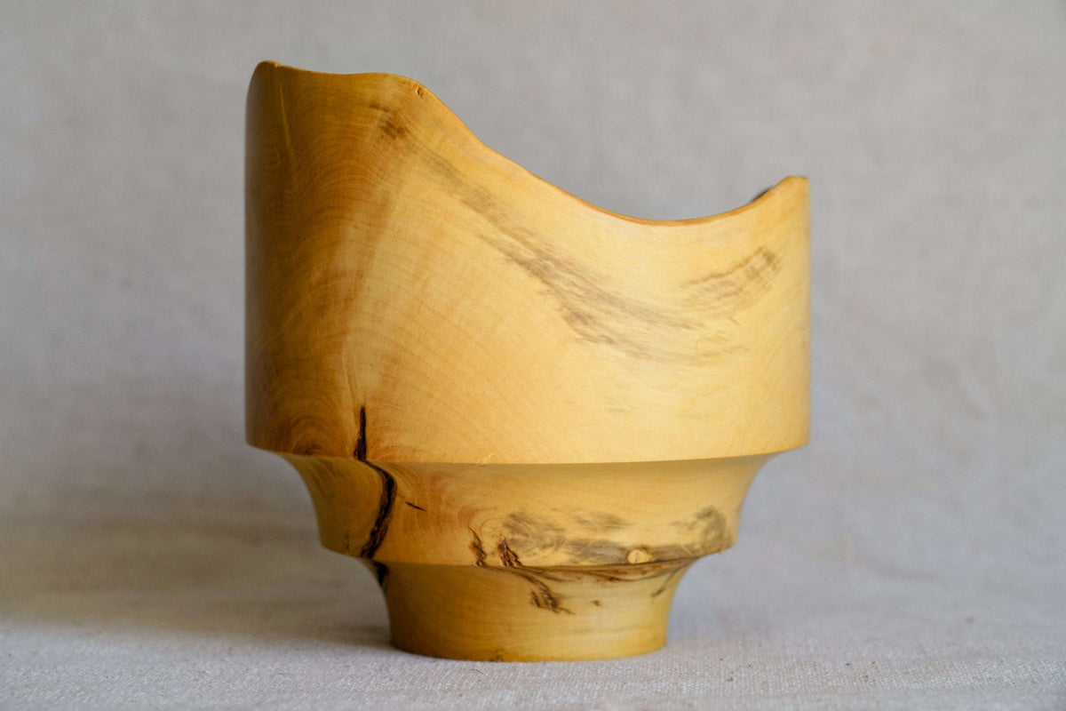 Coupe en buis centenaire - Un siècle de chaque