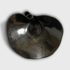 Coupe nénuphar noire en métal brillant, forme ovale avec rebords ondulés.