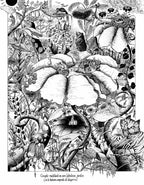 Illustration noir et blanc : mains en cercle dans un jardin fantastique, couple méditant