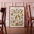 Affiche encadrée d’oiseaux exotiques multicolores sur fond clair.