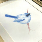 Illustration d’un oiseau bleu sur fond blanc, vue rapprochée
