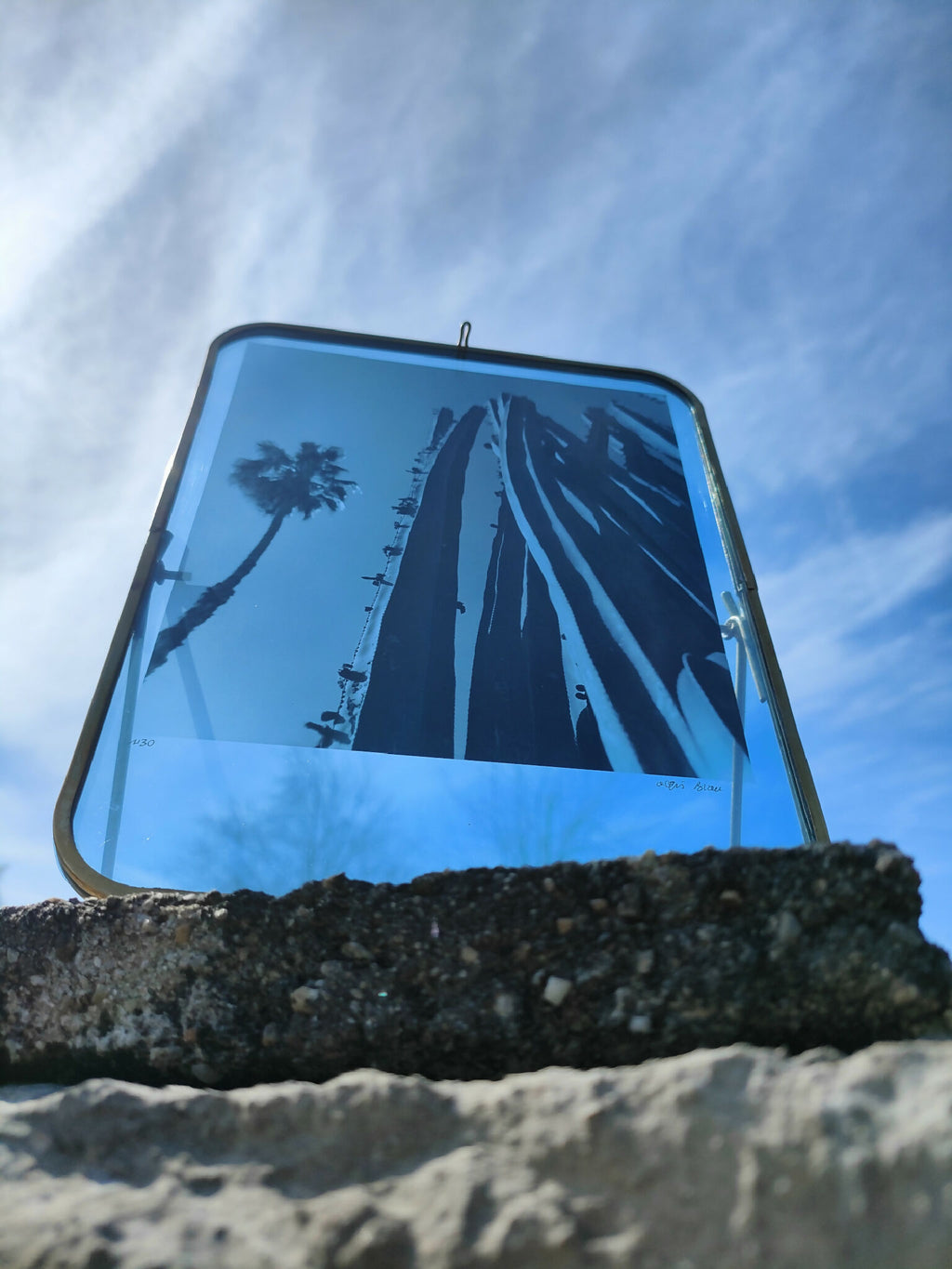 Cadre photo rectangulaire à coins arrondis, bord bleu, photo paysage de palmiers.