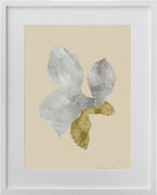 Collage de cyclamen abstrait, formes grises et vert clair sur fond beige, encadré