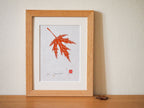 Gravure sur papier washi encadrée, feuille d’érable rouge et orange