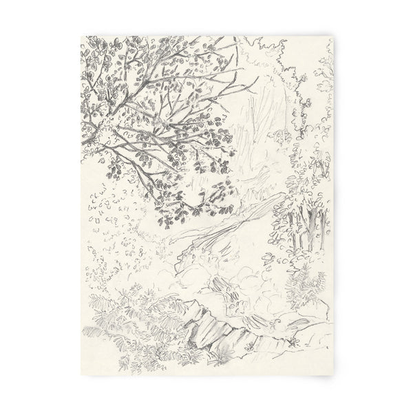 Tirage d’art numéroté en noir et blanc, feuille imprimée avec dessin de végétation.