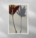 Affiche encadrée avec feuilles rouge-brun et ombres d’arbres