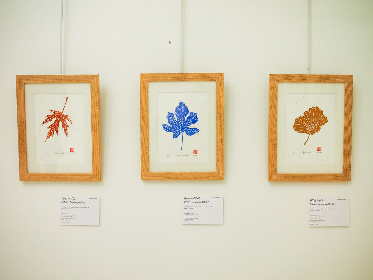 Ensemble de trois gravures sur papier washi encadrées, feuilles colorées