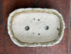 Grand pot rectangulaire pour bonsaï vu de dessus, blanc granuleux avec trous de drainage