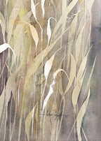 Textures d’aquarelle : herbes blanches, beiges et grises, avec accent lavande.