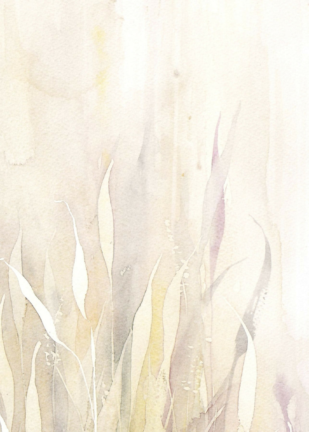 Fond clair et herbes peintes à l’aquarelle, formes blanches et beiges.