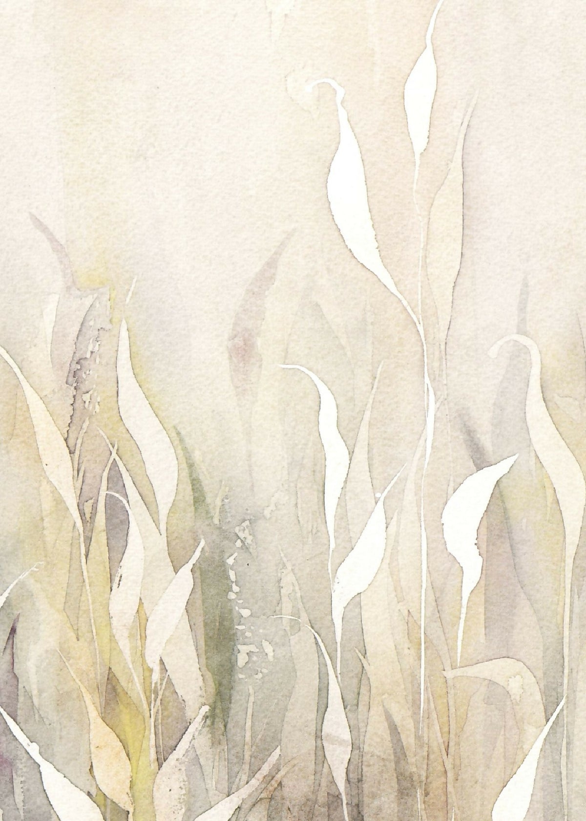 Aquarelle aux herbes ondulées : beiges, blanc cassé et pointes vert pâle.