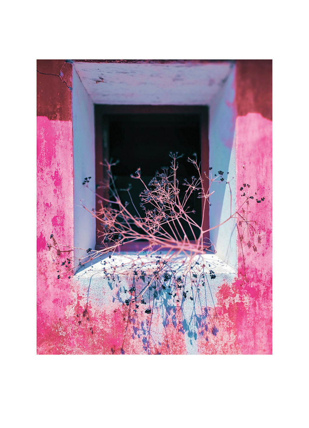 Impression encadrée : fenêtre ouverte, murs roses, branches fines et projections bleues.