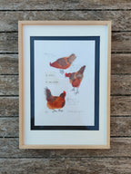 Encadrement en bois d’une illustration de trois poules colorées