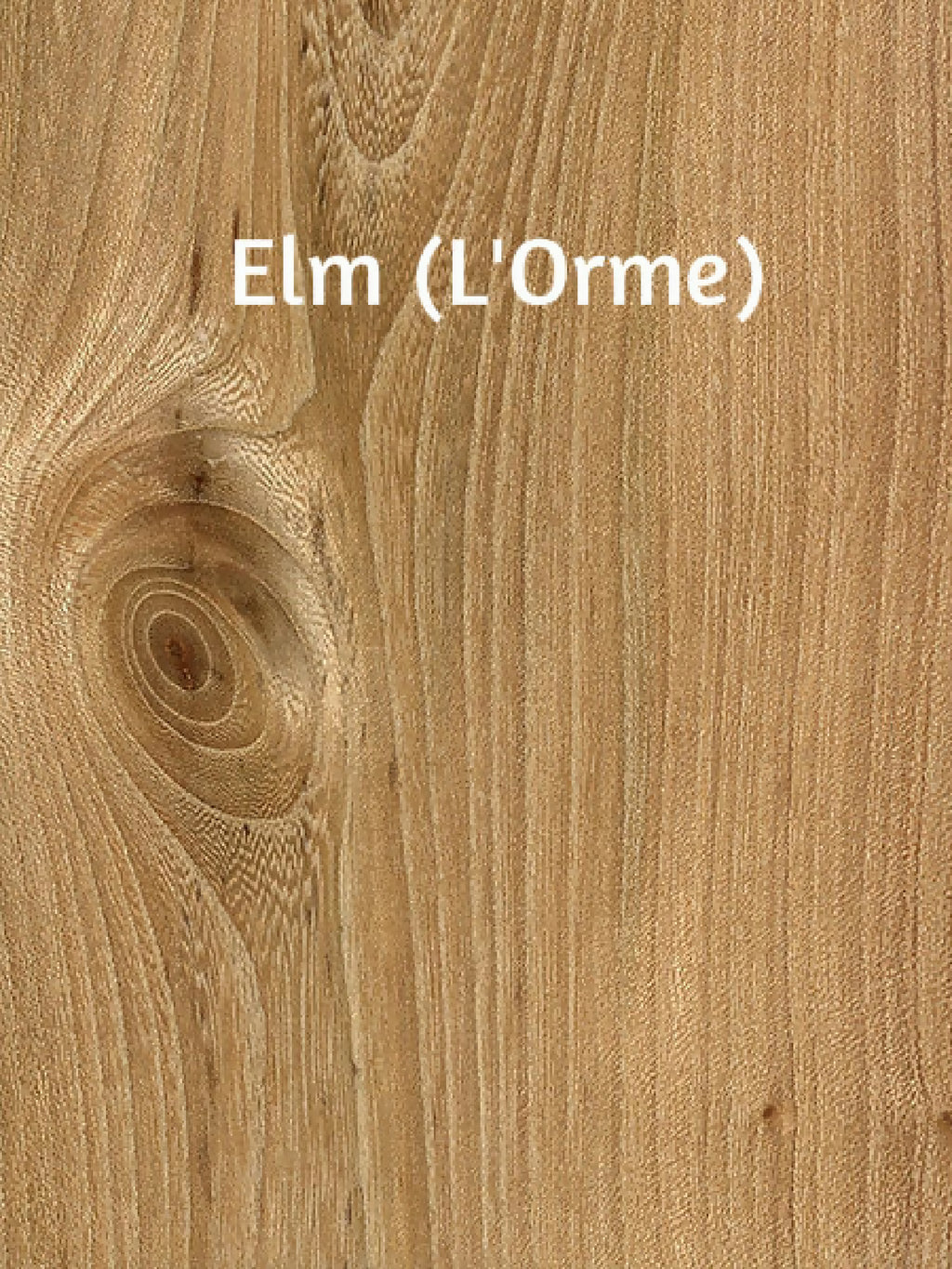 Bois d’orme : veinage clair avec motifs en spirale
