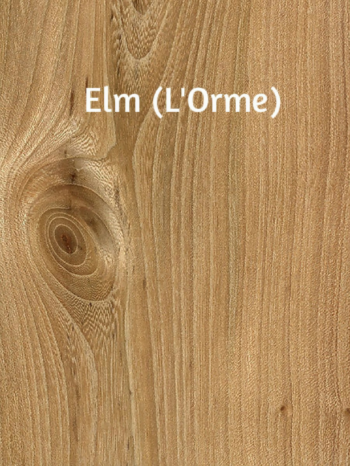 Bois d’orme : veinage clair avec motifs en spirale