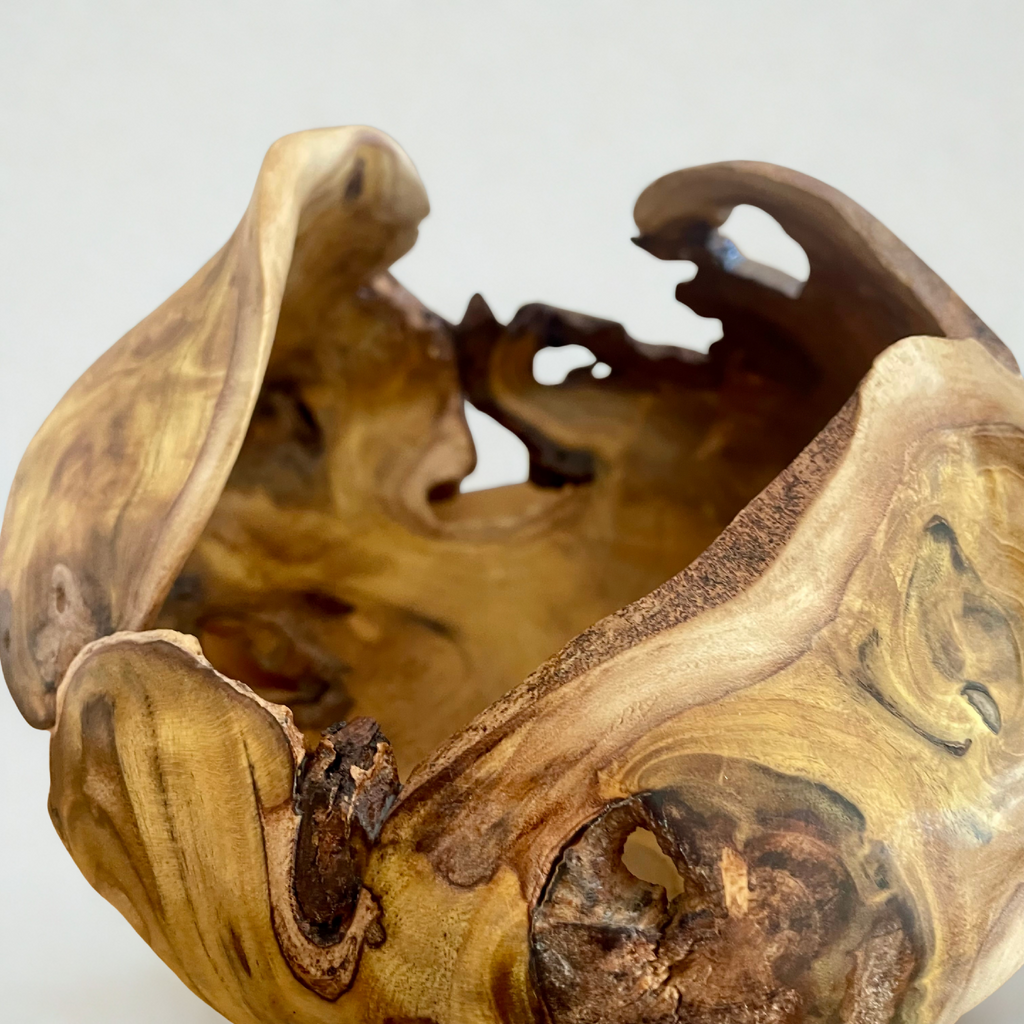 Gros plan sculpture en bois, cavité brun foncé et bords clairs aux veines ondulées