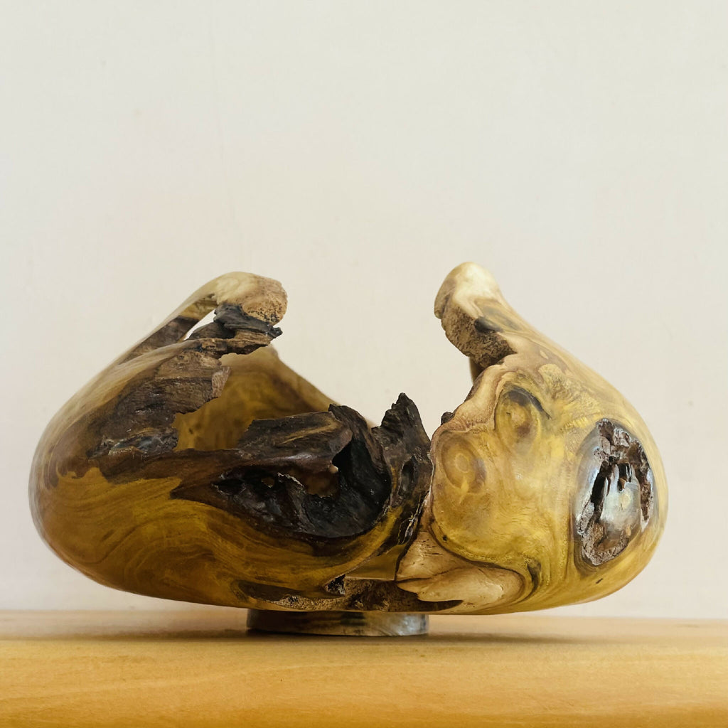 Sculpture en bois aux tons miel, évidement central sombre et ouvertures irrégulières