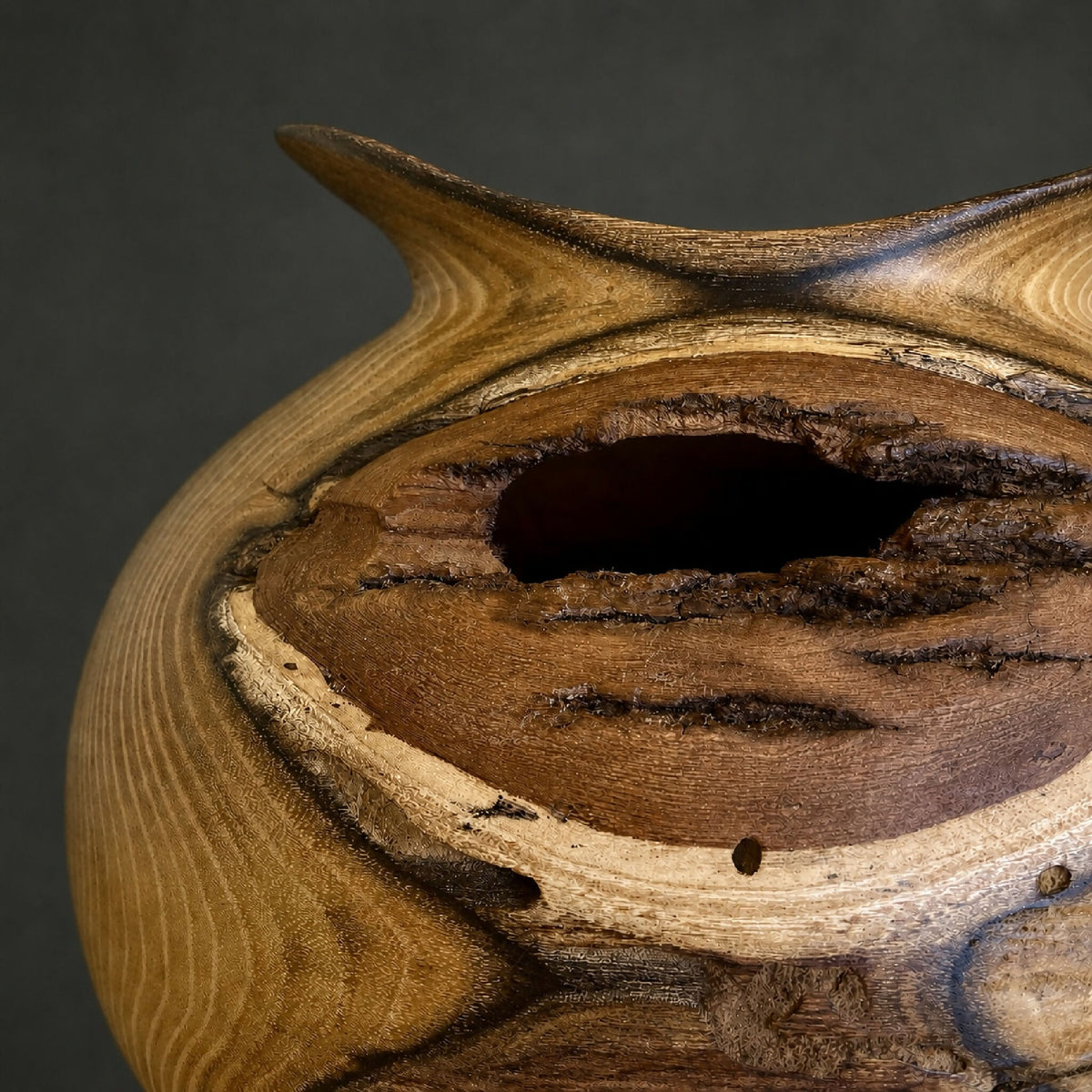 Détail ouverture du vase en bois sculpté : cavité sombre et zones claires.