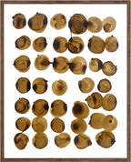 Tableau d’encres café : taches circulaires sur papier coton, cadre en bois.