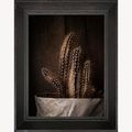 Tableau encadré de cactus bruns, cadre noir, tissu gris sous les tiges épineuses.
