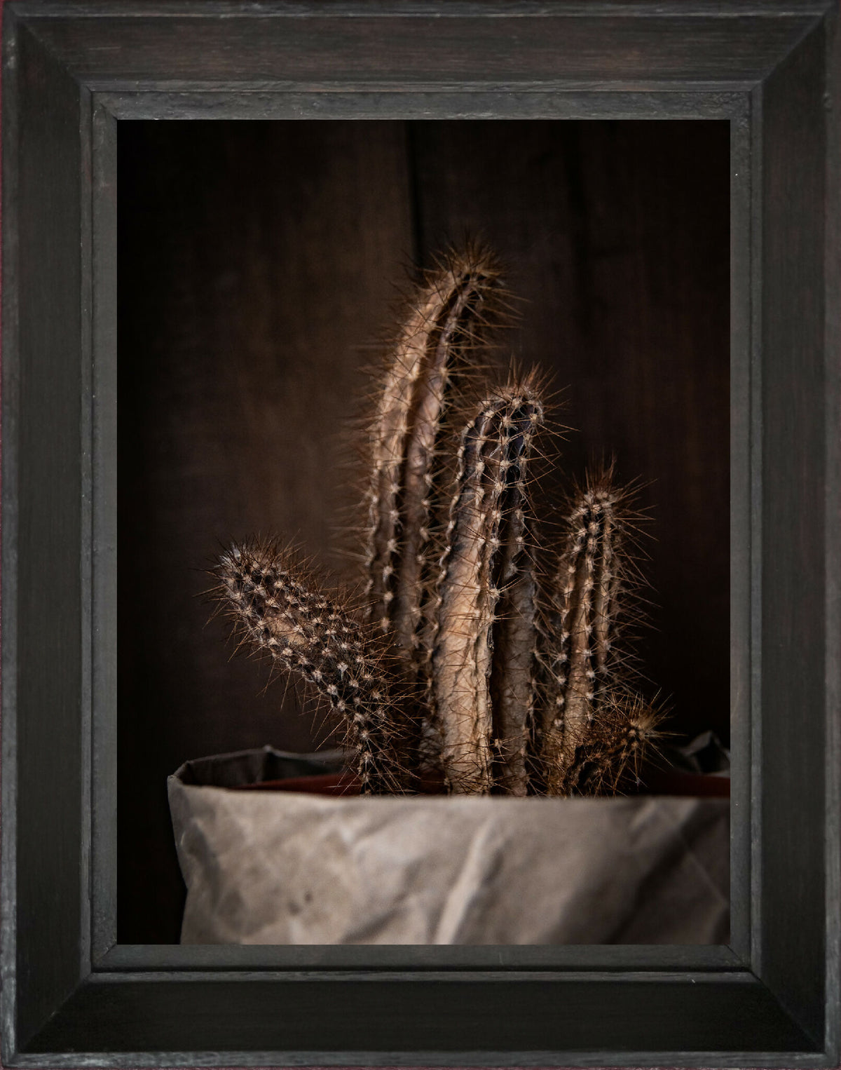 Tableau encadré : cactus bruns sur fond sombre, avec tissu gris au pied.