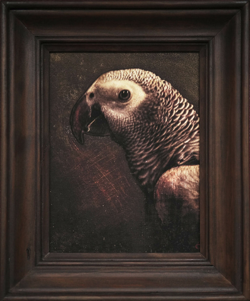 Tableau encadré avec perroquet de profil, fond sombre, cadre brun foncé