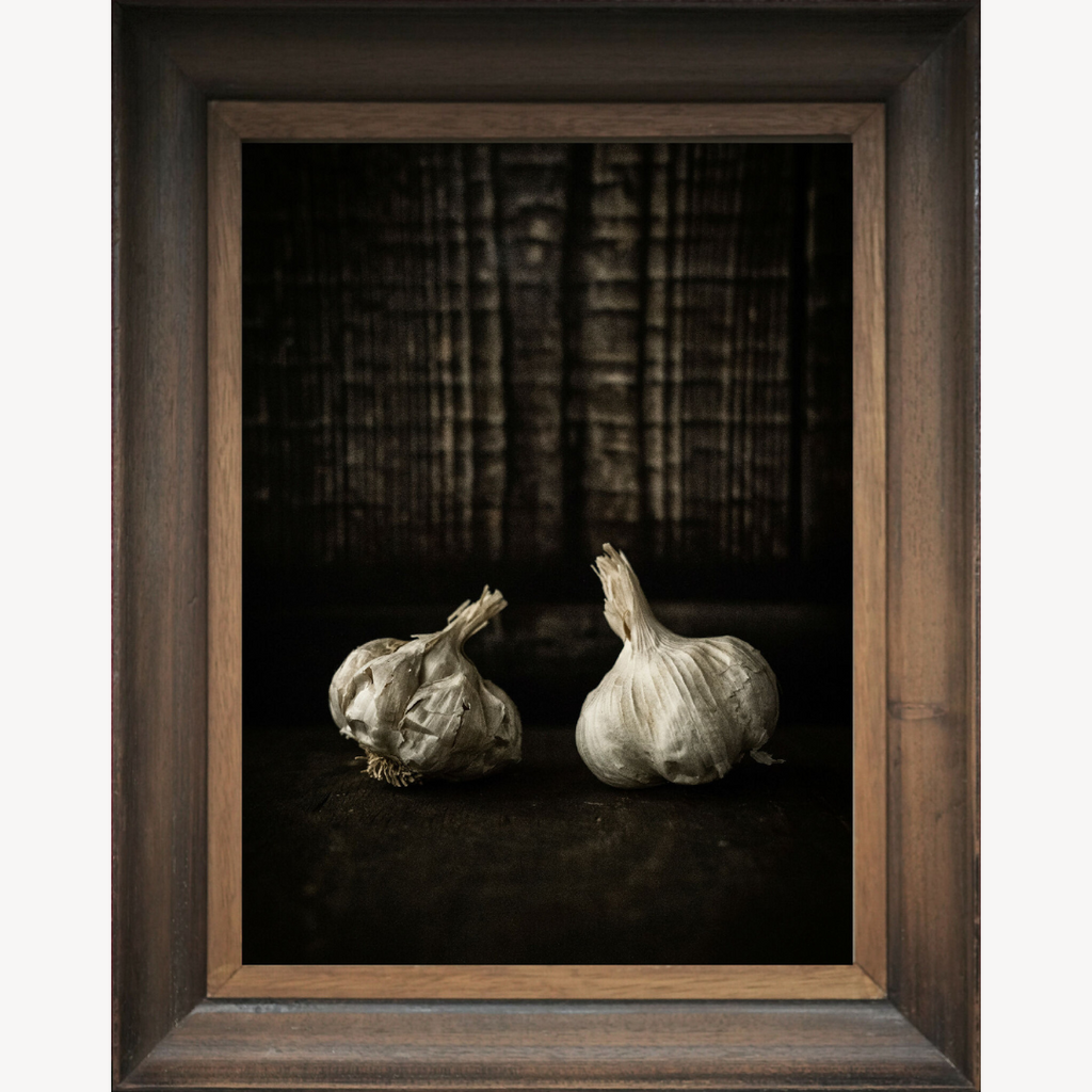 Tableau encadré d’ail : deux bulbes blancs, à gauche et à droite.