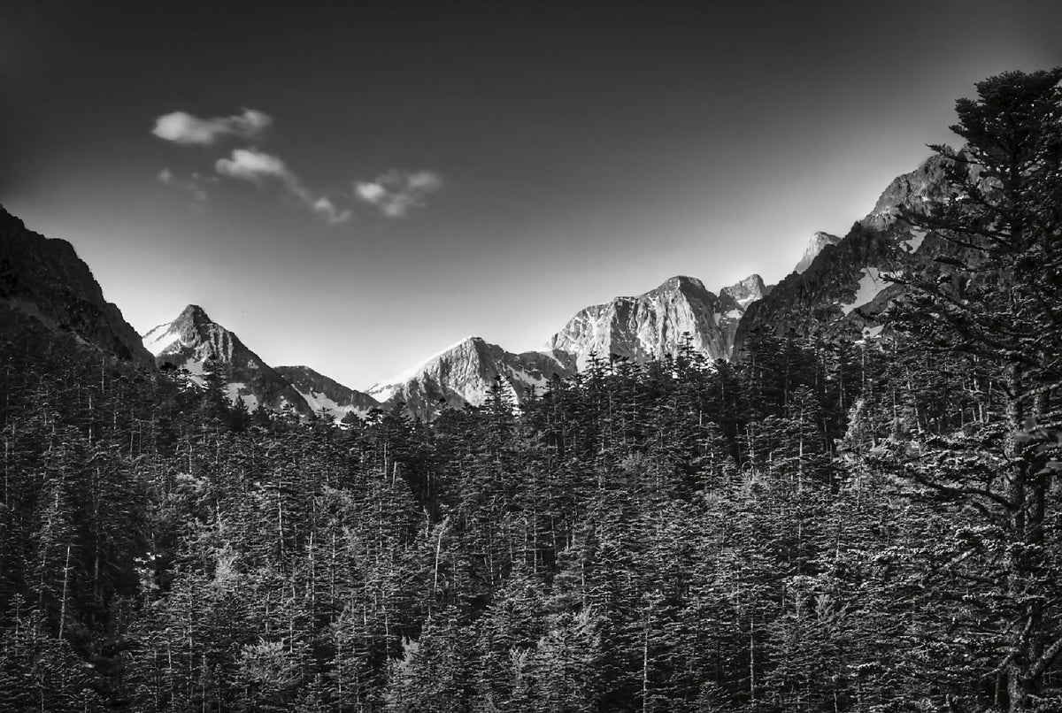 Photographie du massif du Vignemale : montagnes et forêt sombre, vue panoramique.