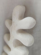Sculpture d’algue blanche, gros plan sur une branche et le creux