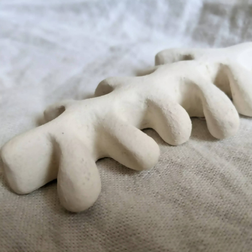 Sculpture d’algue blanche, détail des branches torsadées