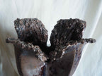 Sculpture PETAL