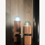 Paire de sculptures lumineuses en bois, globes lumineux sous cloches en verre