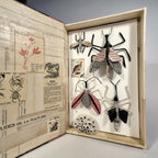 Livre de sculptures sur les insectes ouvert, insectes en relief sur fond blanc