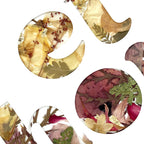 Détail du collage : lettres en plantes séchées aux tons beiges et bordeaux sur fond blanc