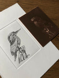 Tableau martin-pêcheur sur papier blanc avec gravure noire, et tableau brun cuivré.
