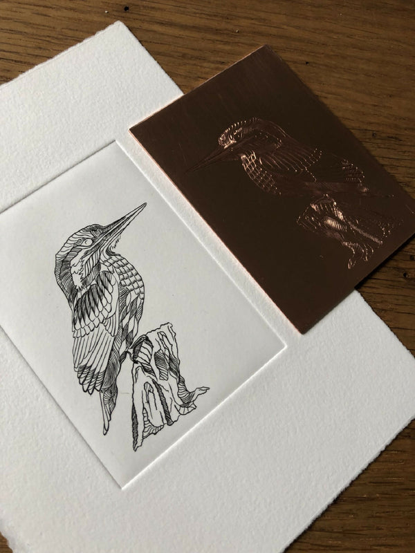 Tableau martin-pêcheur sur papier blanc avec gravure noire, et tableau brun cuivré.