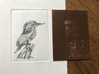 Tableau martin-pêcheur : illustration gravée sur papier blanc et version fond brun.