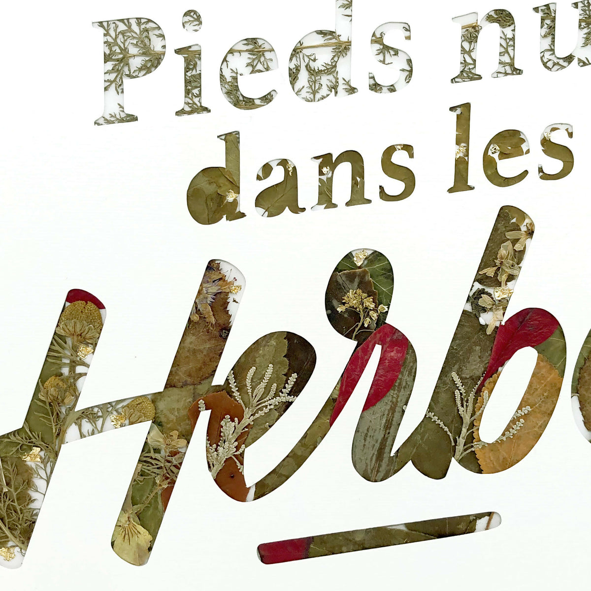 Tableau A4 en gros plan : lettres « pieds nus dans les Herbes » composées de plantes séchées