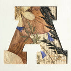 Tableau A4, gros plan: collage de feuilles et fleurs séchées avec texte