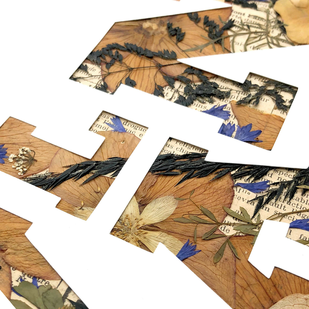 Tableau A4 lettres en collage de plantes séchées, zoom sur feuillages et fleurs