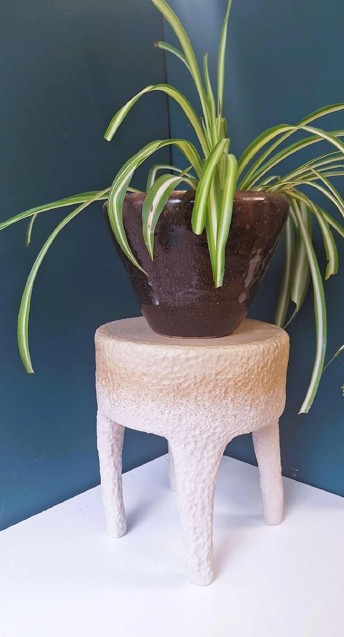 Tabouret en céramique beige texturé, pot en terre brune avec plante sur le dessus
