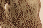 Théière beige, gros plan du motif à taches et stries brun foncé