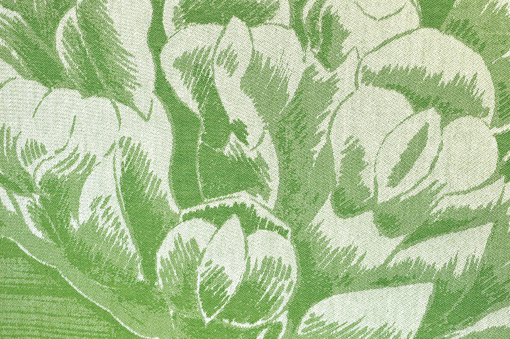 Toile à motif floral : grandes fleurs blanches sur fond vert clair